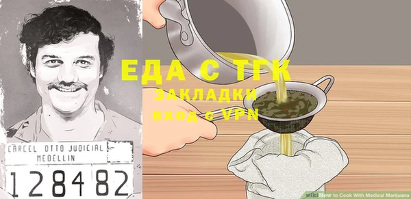 индика Алзамай