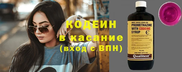 индика Алзамай