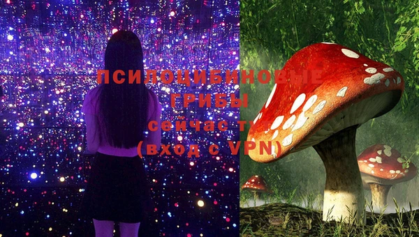 индика Алзамай