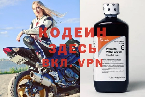 индика Алзамай