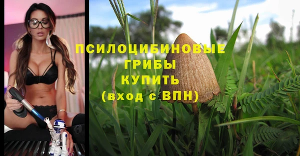 индика Алзамай