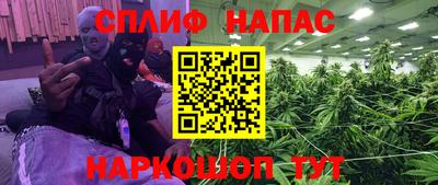 прущие грибы Ипатово