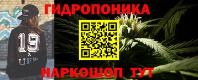 прущие грибы Ипатово