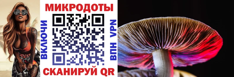 Псилоцибиновые грибы мицелий  гидра ССЫЛКА  Кудрово  shop состав  закладка 