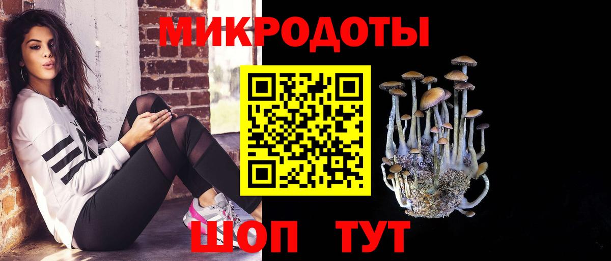 Кудрово  Псилоцибиновые грибы GOLDEN TEACHER  Псилоцибиновые грибы GOLDEN TEACHER  Вход с VPN 