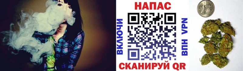 mega зеркало  это состав  Шишки марихуана White Widow  Кудрово 